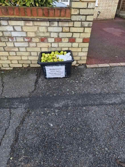 Photo of free Granny Smith Apples (Horace Road Billericay) #1