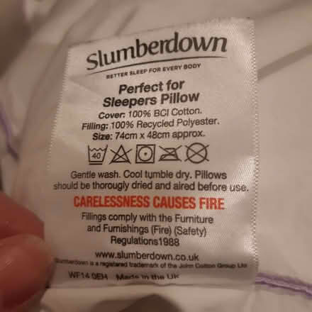 Photo of free Pillow (Upper Holloway N19) #2