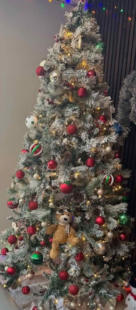 Photo of free 6ft Christmas Tree (SL2) #1