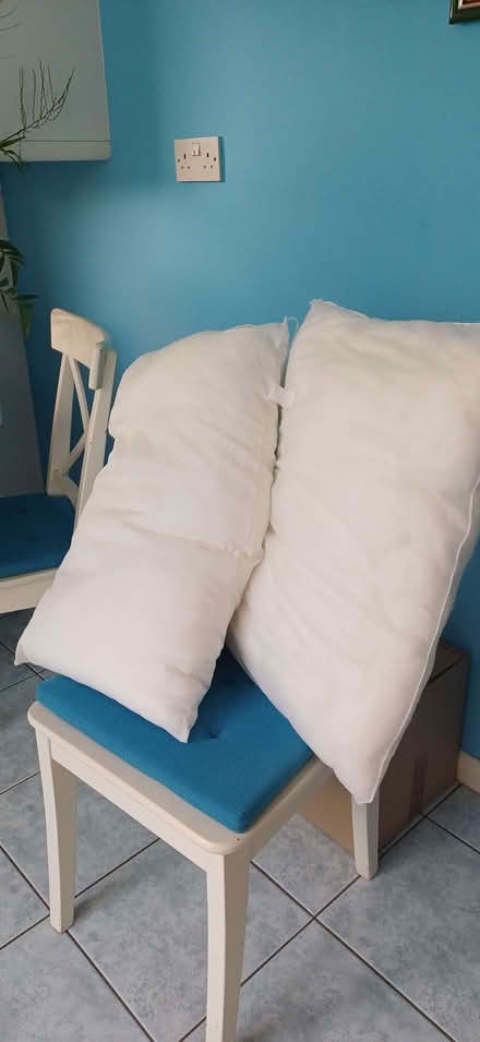 Photo of free Duvet and pillows (Barking IG11) #1