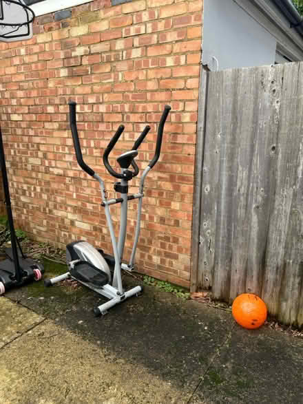 Photo of free Garden stuff (N10 2NL) #3