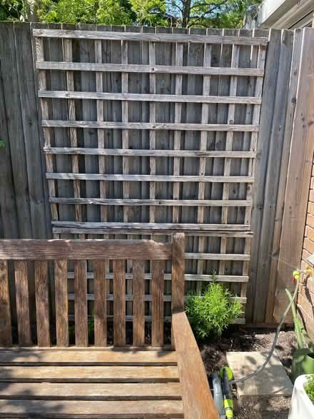 Photo of Garden trellis. Any size (North Road N7) #1