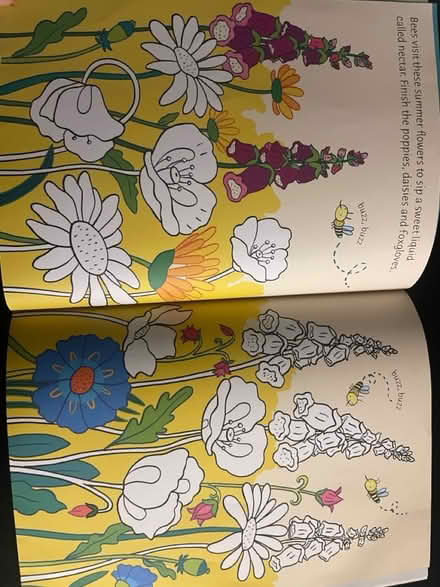 Photo of free Kids colouring in book (S7 Nether Edge) #3