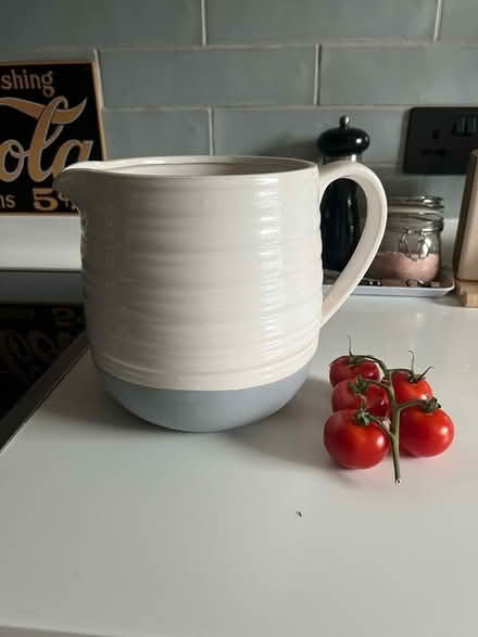 Photo of free Large jug (tomatoes for scale) (Lewes BN7) #1