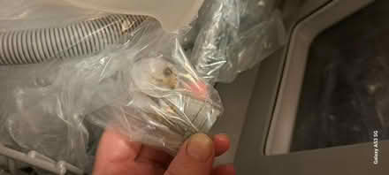 Photo of free Portable dishwasher (RWC) #2