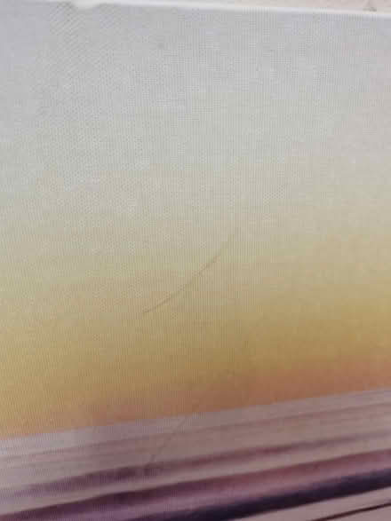 Photo of free Picture (SE20) #3