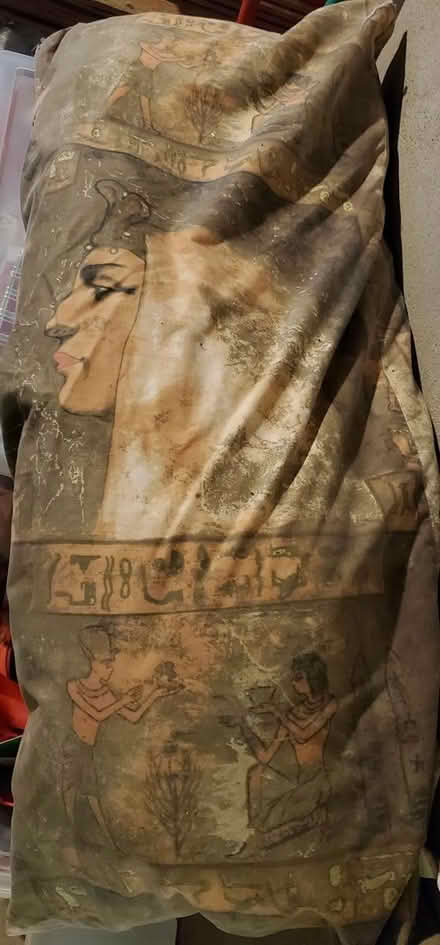 Photo of free Egyptian themed body pillow (Near Experimental Farm) #1