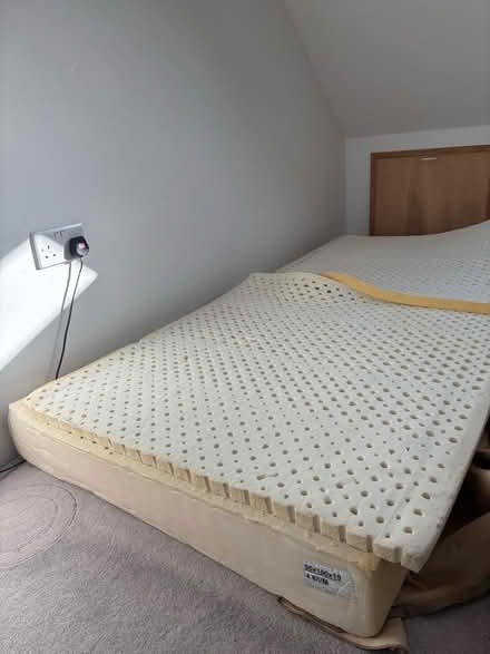 Photo of free Natural latex foam pieces (New Marston OX3) #2