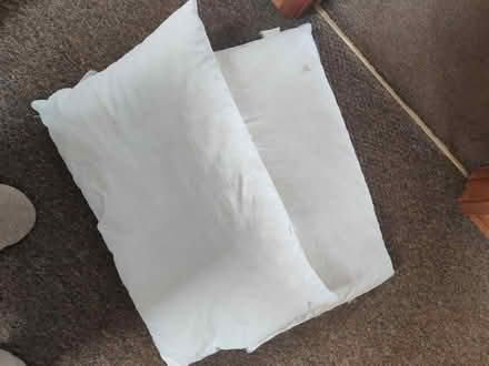 Photo of free Duck and down feathers pillows x 2' (Chingford E4) #1