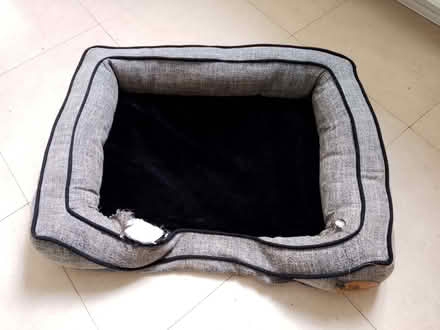 Photo of free Dog bed (medium size) (Jennyfield HG3) #1