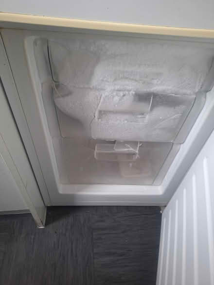 Photo of free Fridge freezer (Newtown B19) #3