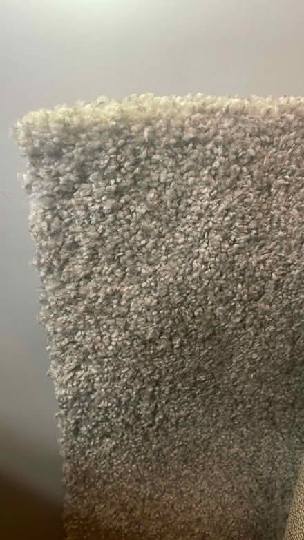 Photo of free Rug 160cm x 240cm (Battersea SW8) #1