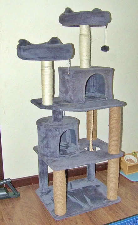 Photo of free Cat Tree 154 cm high (Gunton NR32) #1