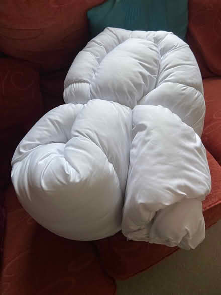 Photo of free Single polyester duvet (Colwall Stone WR13) #1