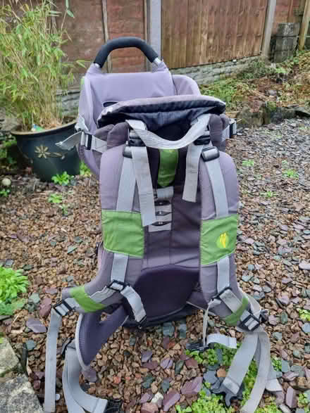 Photo of free Toddler carrying backpack (Bearwood B67) #3