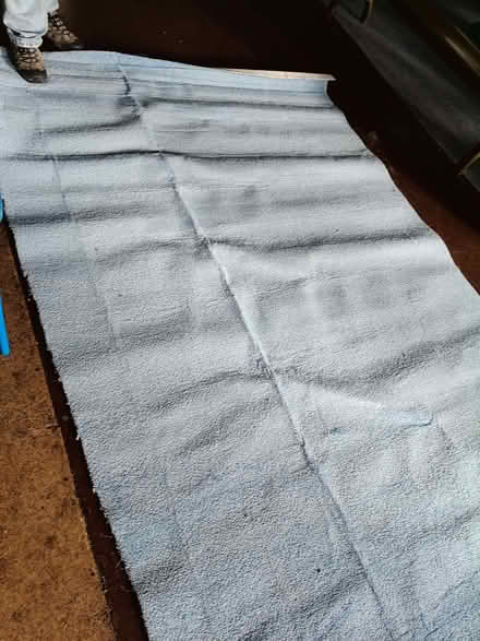 Photo of free Long piece of blue carpet (Norton Lees S8) #1