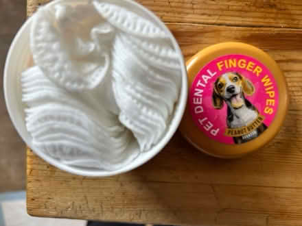 Photo of free Pet Dental Wipes (North side Chicago) #1