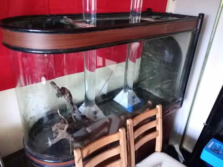 Photo of free Aquarium, 80 gallon, 300 litre (Saville Park HX1) #4