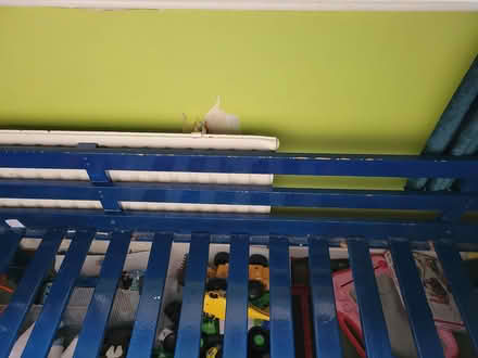 Photo of free Blue painted single bed (BR6) #2