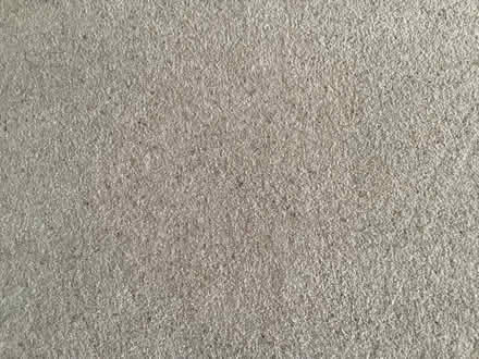 Photo of free Carpet (Hayling Island PO11) #2