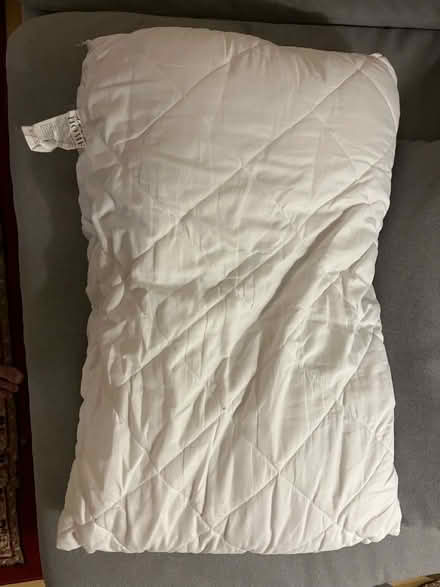 Photo of free Polyester pillow (SE1) #1