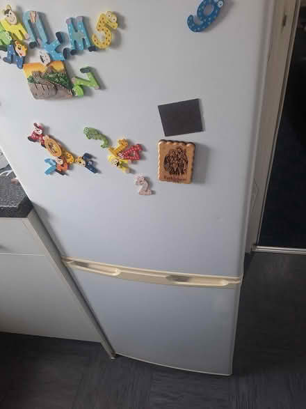 Photo of free Fridge freezer (Newtown B19) #2