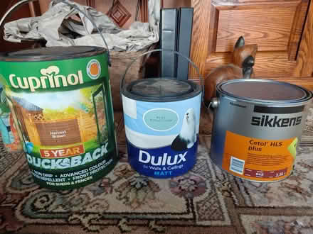 Photo of free Paints / wood stain (Stanway, CO3) #1
