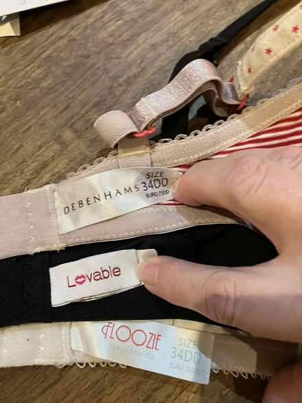 Photo of free Bras 34DD (Goffs Oak EN7) #2