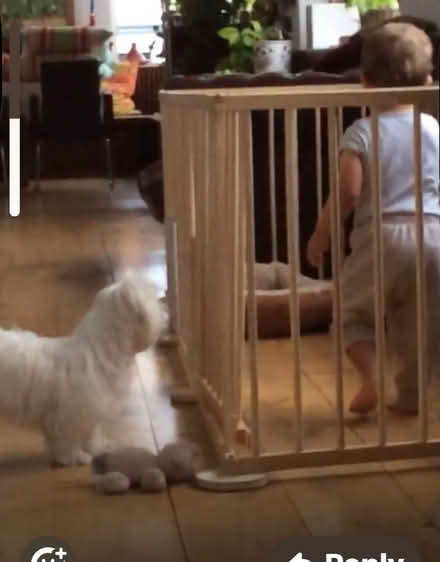 Photo of free Rectangular wooden pen (South Kensington SW7) #2