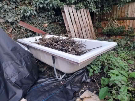 Photo of free Bath planters (Stisted CM77) #1