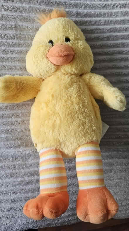 Photo of free Build a bear (dellfield AL1) #1