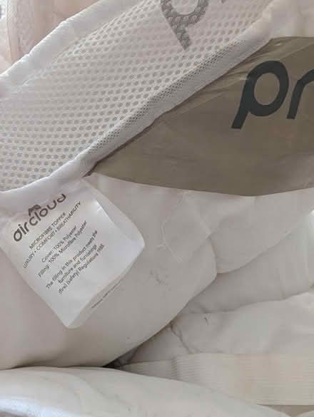 Photo of free Single mattress topper (yapton) #2