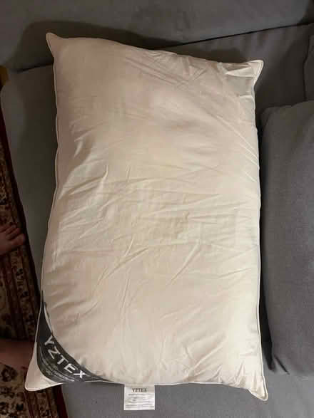 Photo of free Goose down feather pillow (SE1) #1