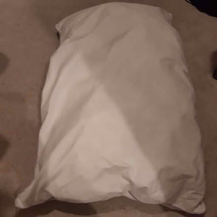 Photo of free Pillow (Upper Holloway N19) #1