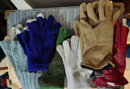 Photo of free 7 pairs of gloves (Crookesmoor S6) #1