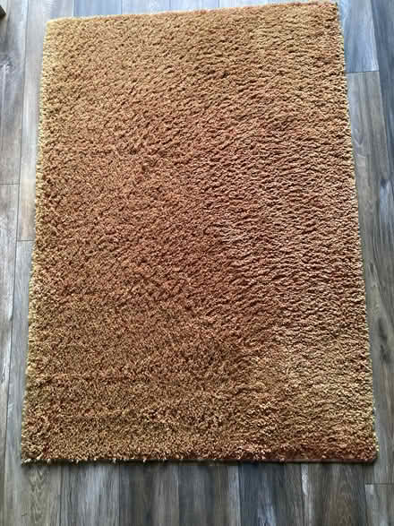 Photo of free Terracotta rug (Beckenham BR3) #1