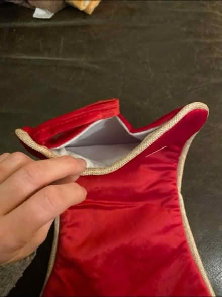 Photo of free Pet stockings x 2 (Cheshunt En8) #3