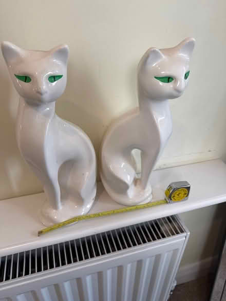 Photo of free Ornamental (BR2) #1