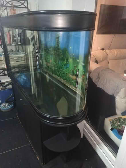 Photo of free Aquarium, 80 gallon, 300 litre (Saville Park HX1) #3