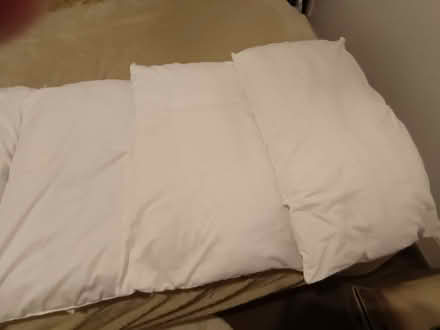 Photo of free 4 pillows (CT6) #1