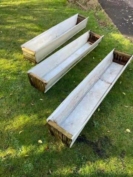 Photo of free 3 large planters (Peacehaven) #3