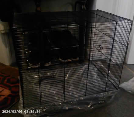 Photo of free Large hamster cage (CT2) #1