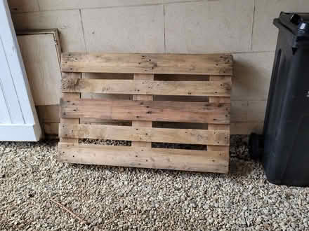 Photo of free Pallet (Lower Weston) #1