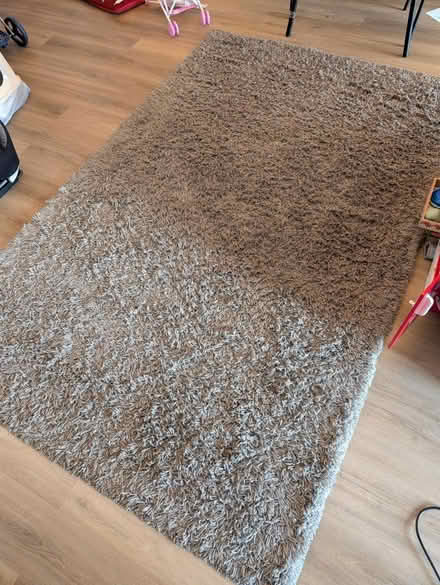 Photo of free Large grey shaggy rug (AL3) #2
