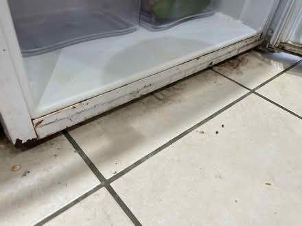 Photo of free Fridge, larder type, undercounter freestanding. (CT2) #3
