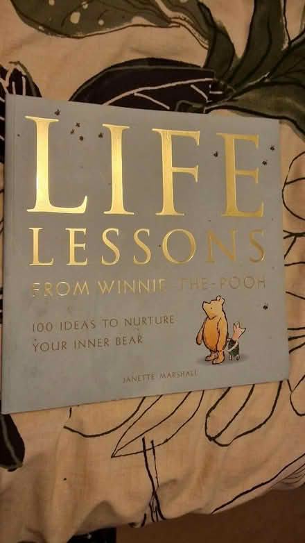 Photo of free Winning the Pooh book (Kirk Hallam DE7) #1