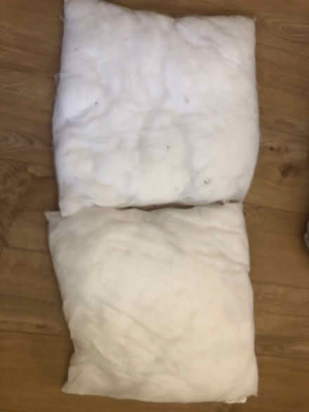 Photo of free Square cushions without covers (Beechwood CH43) #1