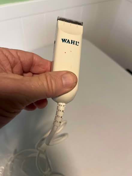 Photo of free Hair Trimmer (Grove Rd and Harris) #1