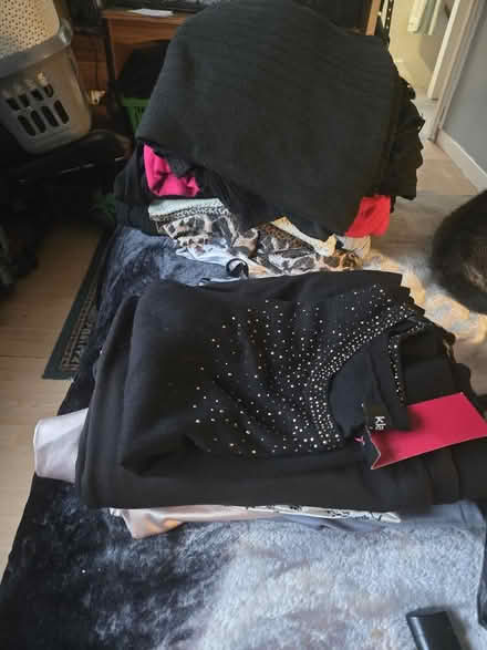 Photo of free women's clothing size 20 (Chaddesden DE21) #1