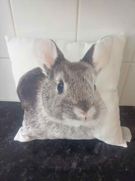 Photo of free Rabbit cushion (Tooting SW17) #1